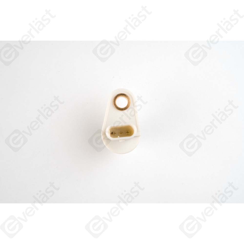 EVERLAST CRANK/CAM SENSOR - 4