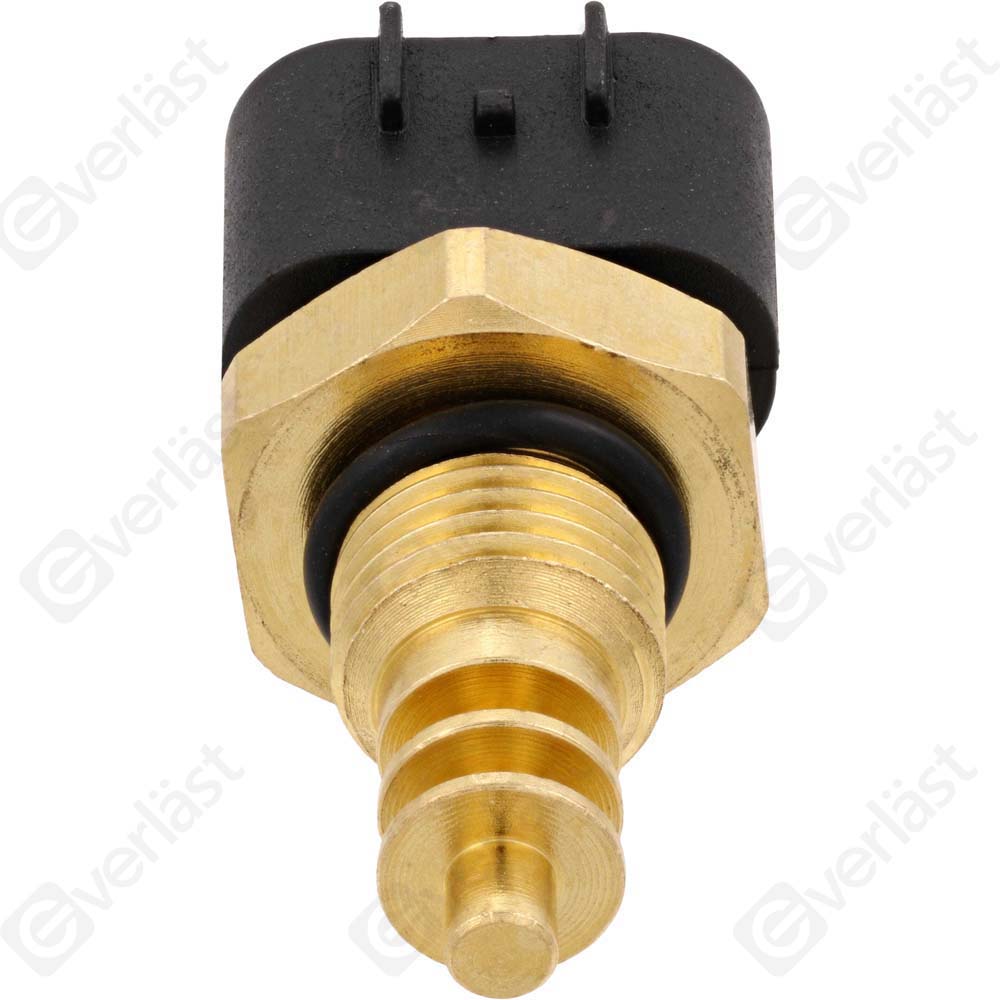 CAPTEURDE TEMPERATURE EVERLAST - 5