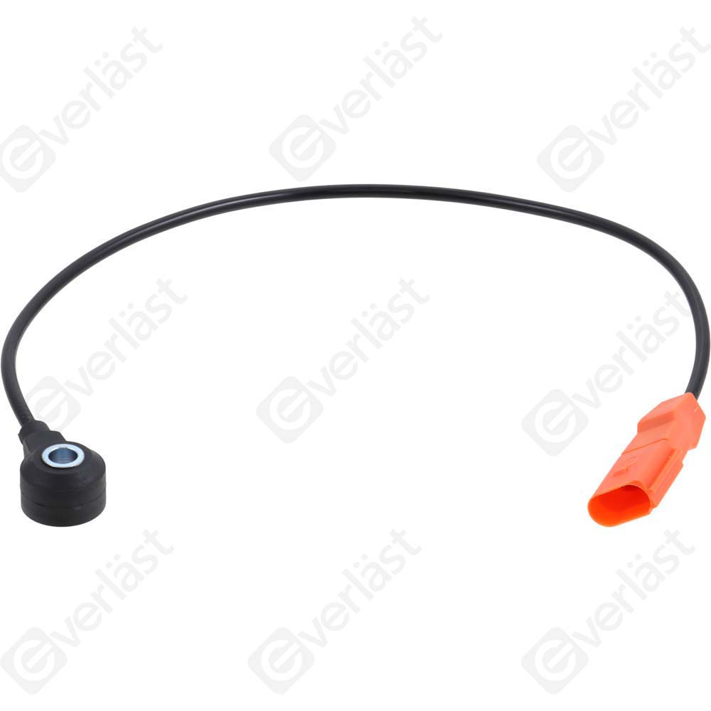 DETECTEUR CLIQUETIS EVERLAST - 5