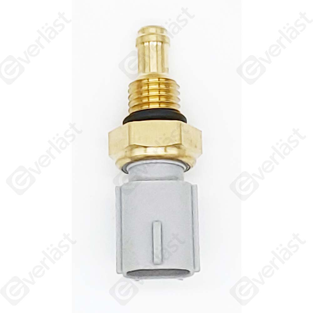 CAPTEURDE TEMPERATURE EVERLAST - 4