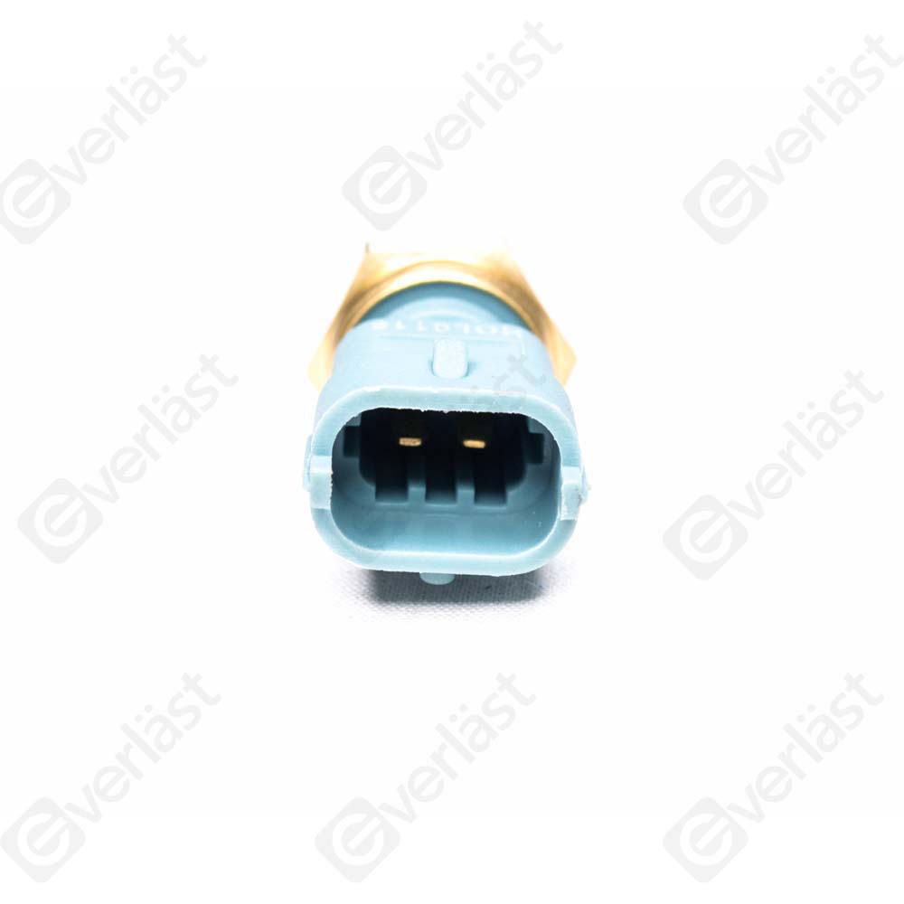 CAPTEURDE TEMPERATURE EVERLAST - 4