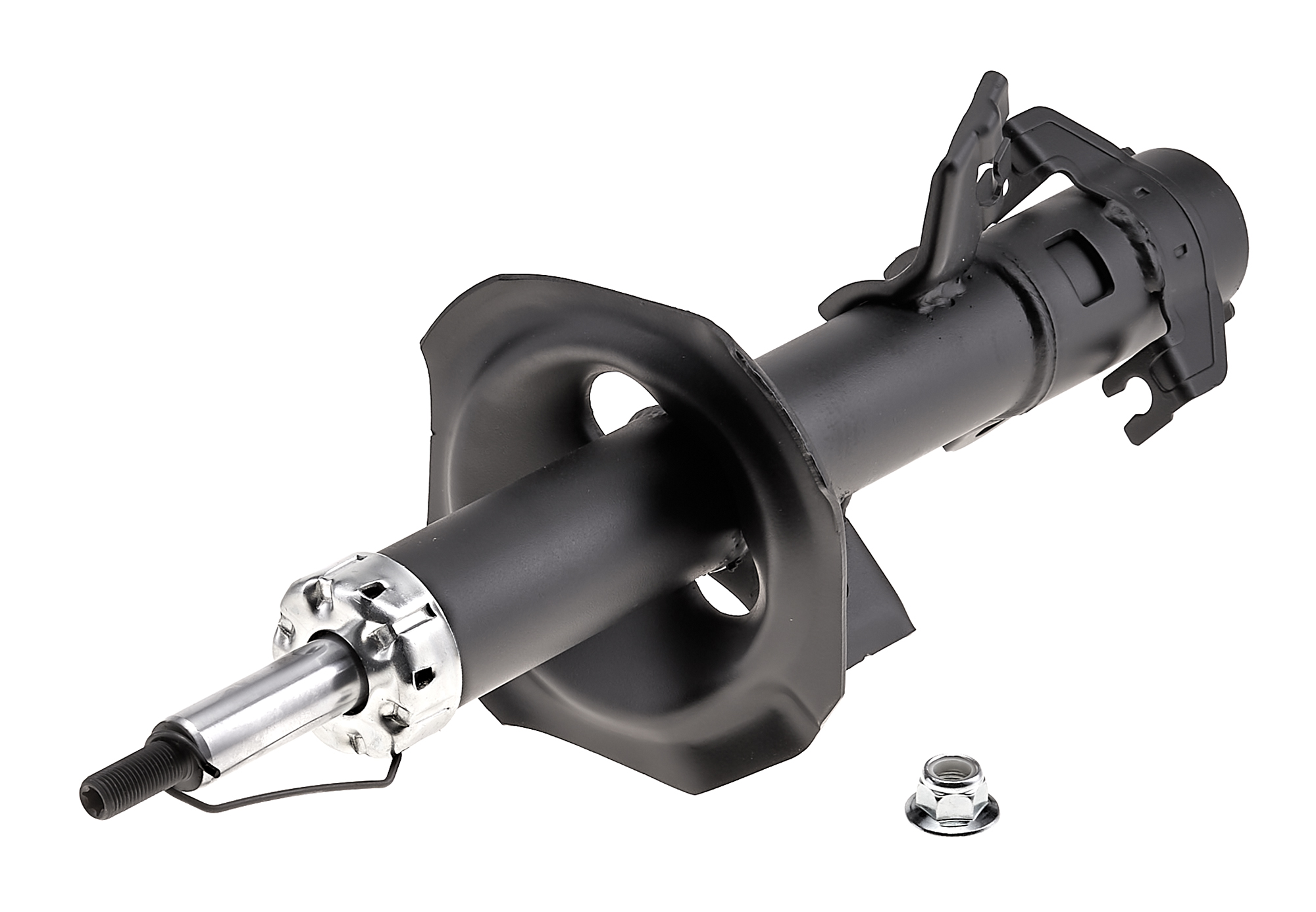 EVOLUTION STRUT