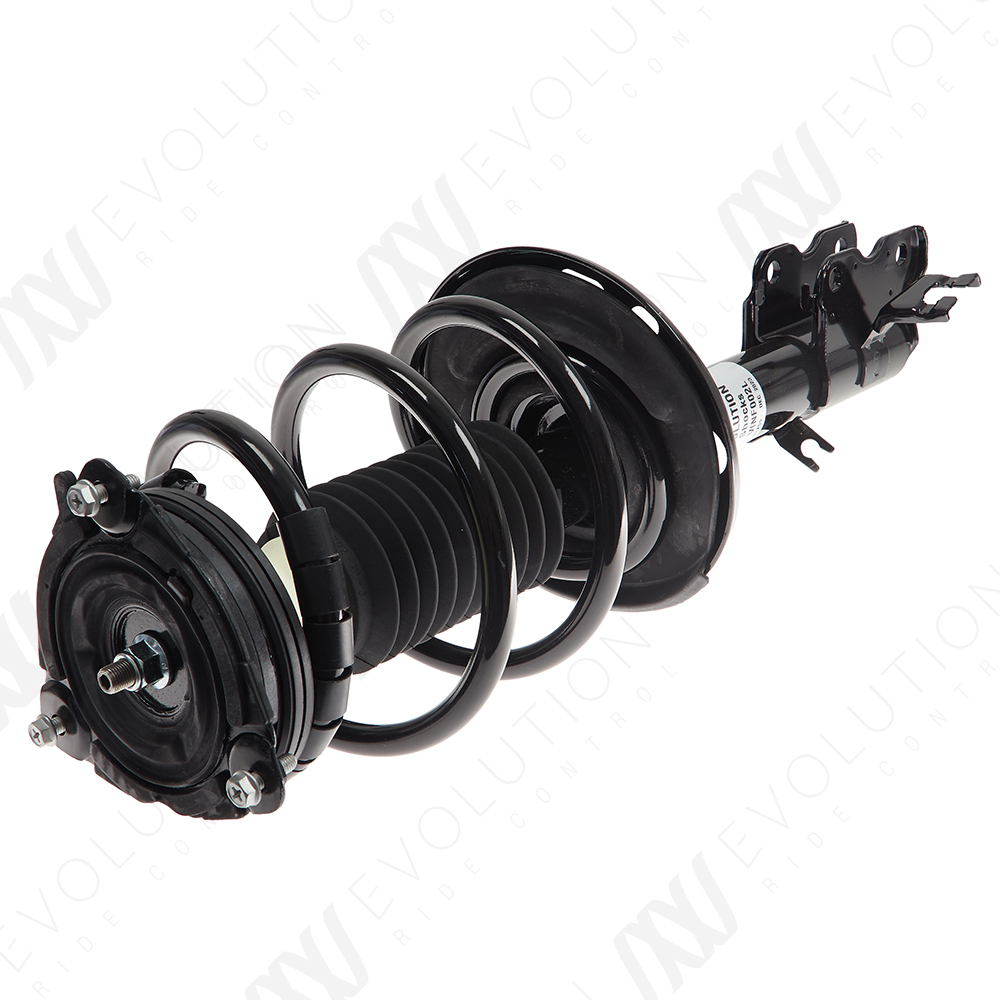 EVOLUTION COMPLETE STRUT