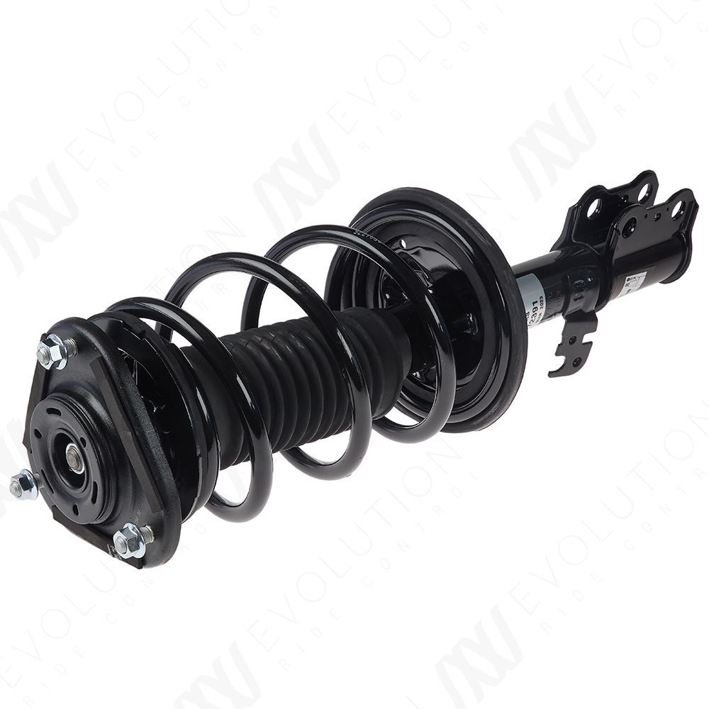 EVOLUTION COMPLETE STRUT