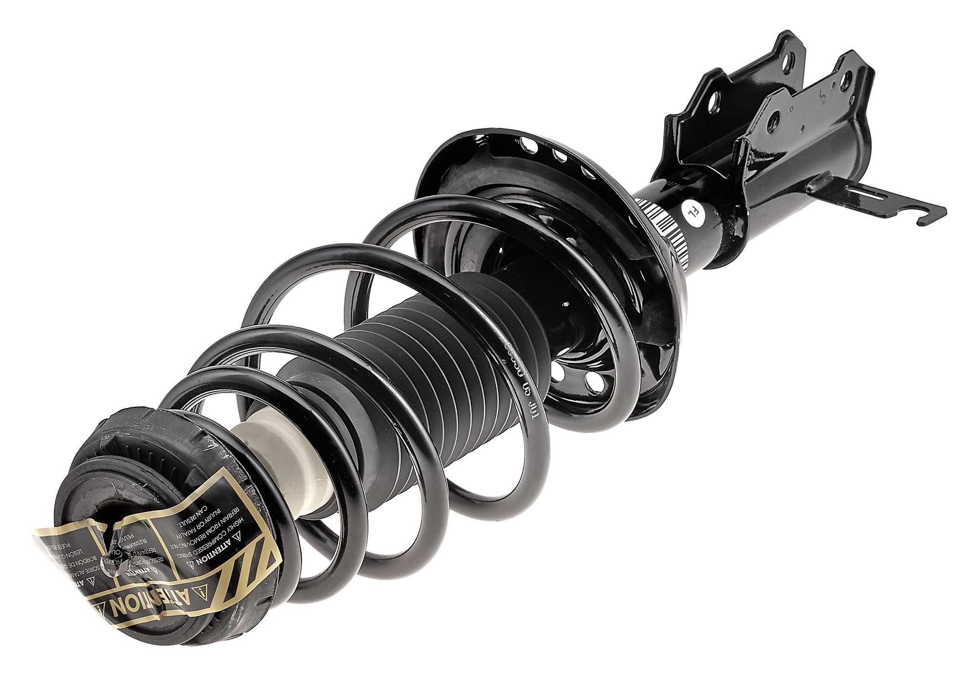 EVOLUTION COMPLETE STRUT