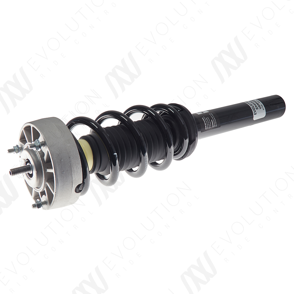 EVOLUTION COMPLETE STRUT - 2