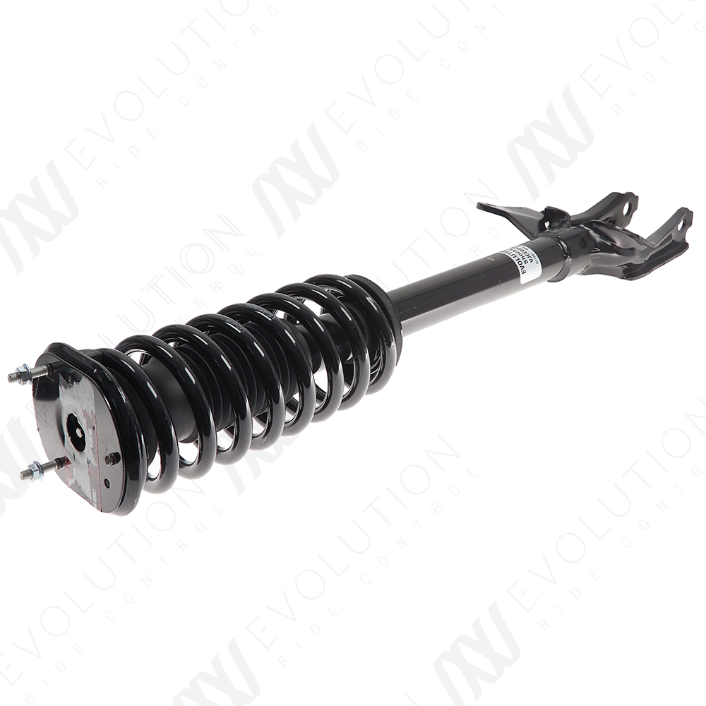 EVOLUTION COMPLETE STRUT - 2