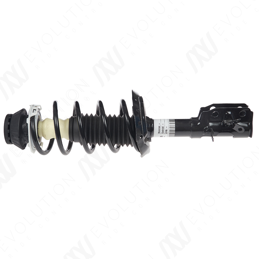 EVOLUTION COMPLETE STRUT