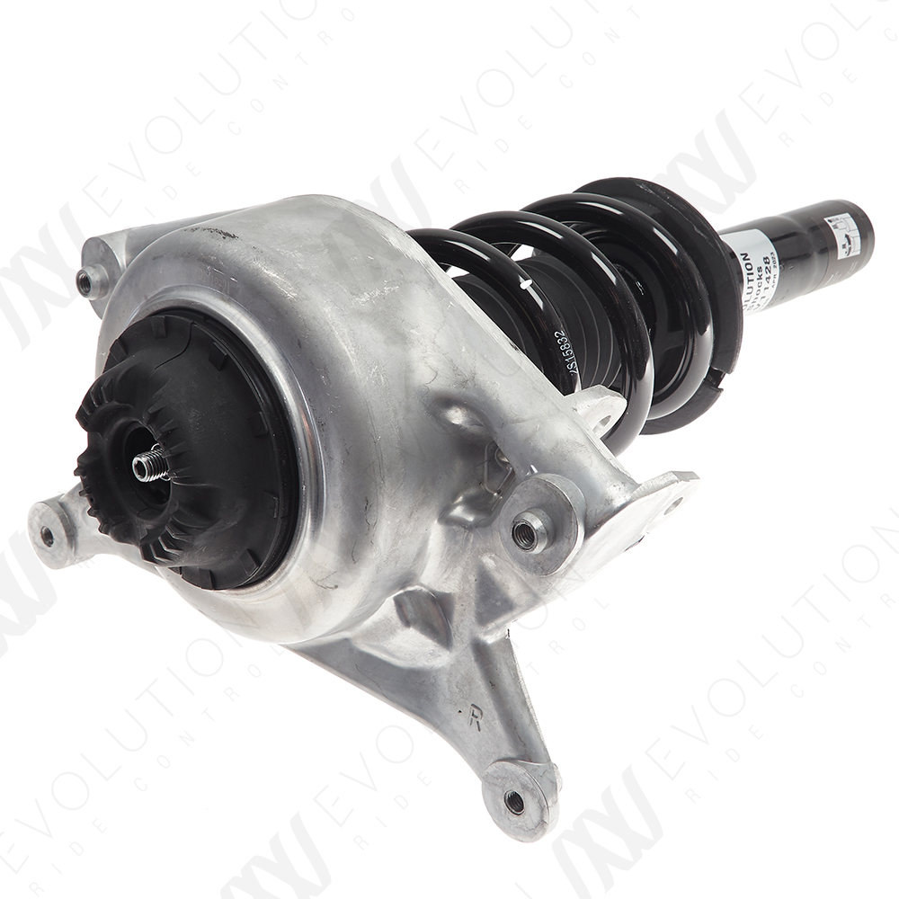 EVOLUTION COMPLETE STRUT