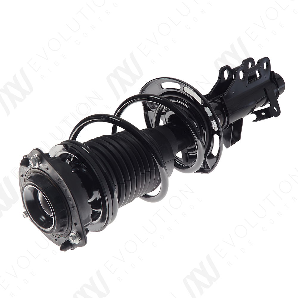 EVOLUTION COMPLETE STRUT