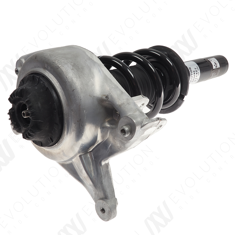 EVOLUTION COMPLETE STRUT - 2