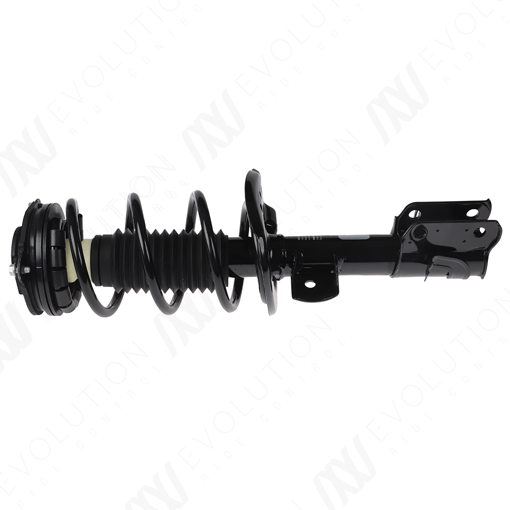 EVOLUTION COMPLETE STRUT