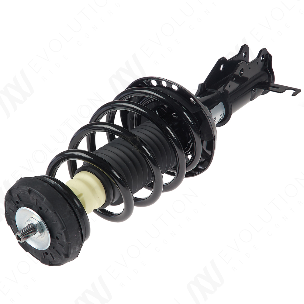 EVOLUTION COMPLETE STRUT - 2