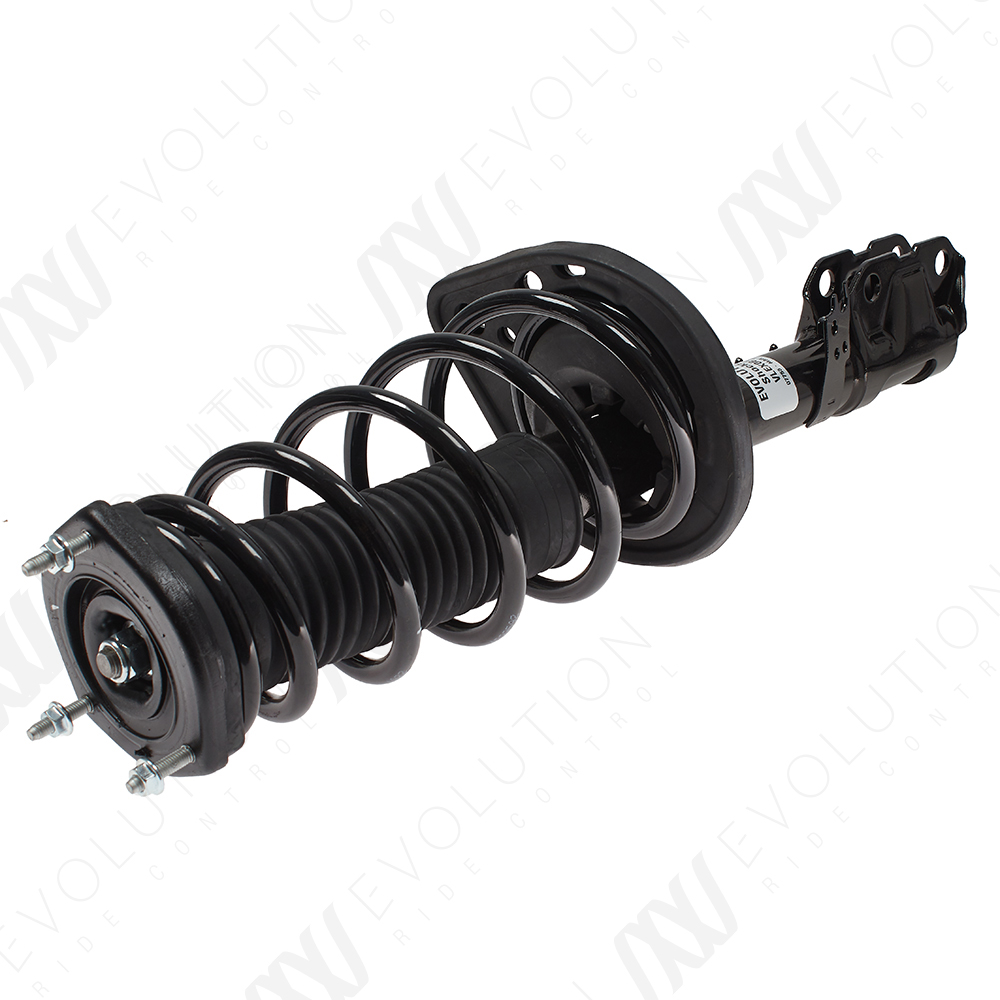 EVOLUTION COMPLETE STRUT - 2