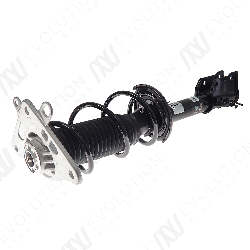 EVOLUTION COMPLETE STRUT