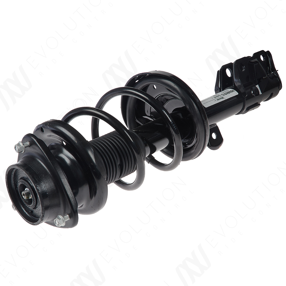 EVOLUTION COMPLETE STRUT - 2