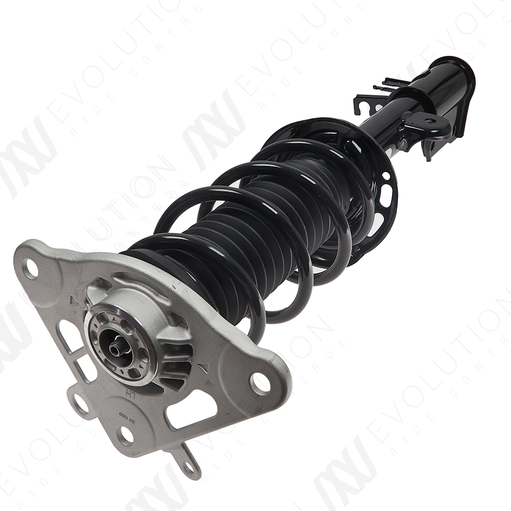 EVOLUTION COMPLETE STRUT - 2