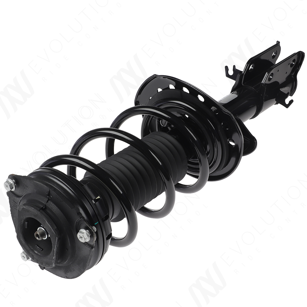 EVOLUTION COMPLETE STRUT - 2
