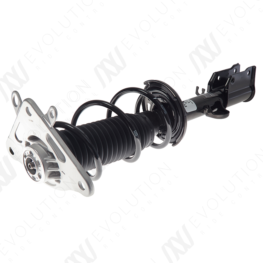 EVOLUTION COMPLETE STRUT