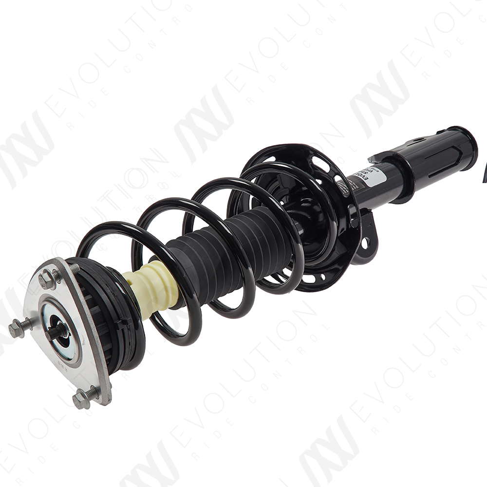 EVOLUTION COMPLETE STRUT - 2