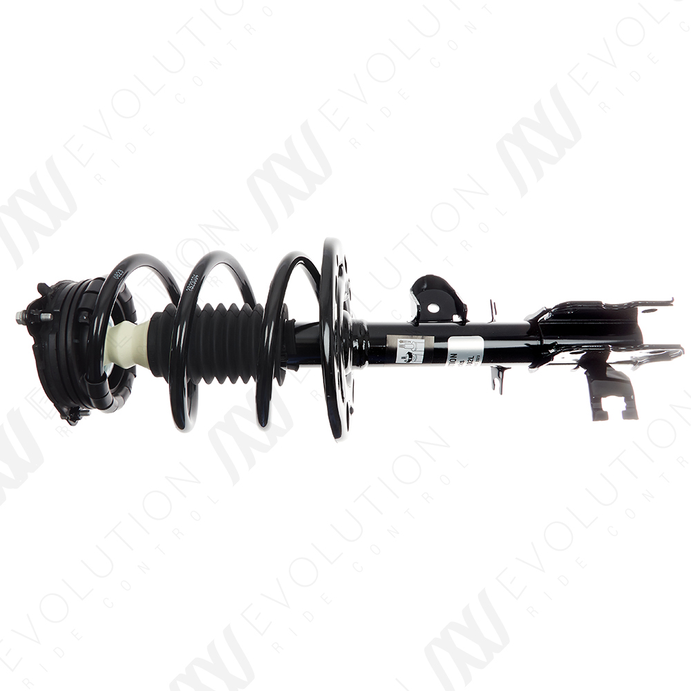 EVOLUTION COMPLETE STRUT - 2