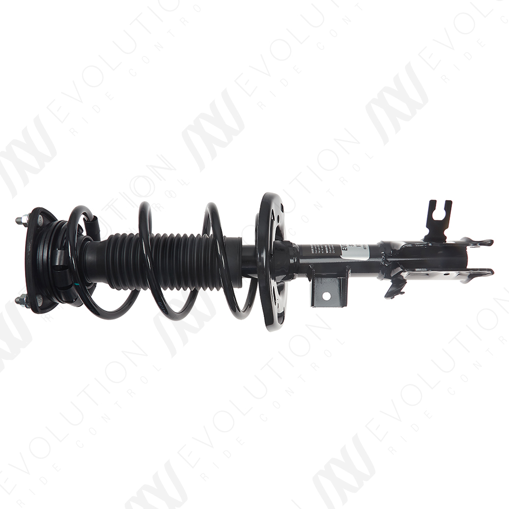 EVOLUTION COMPLETE STRUT - 2