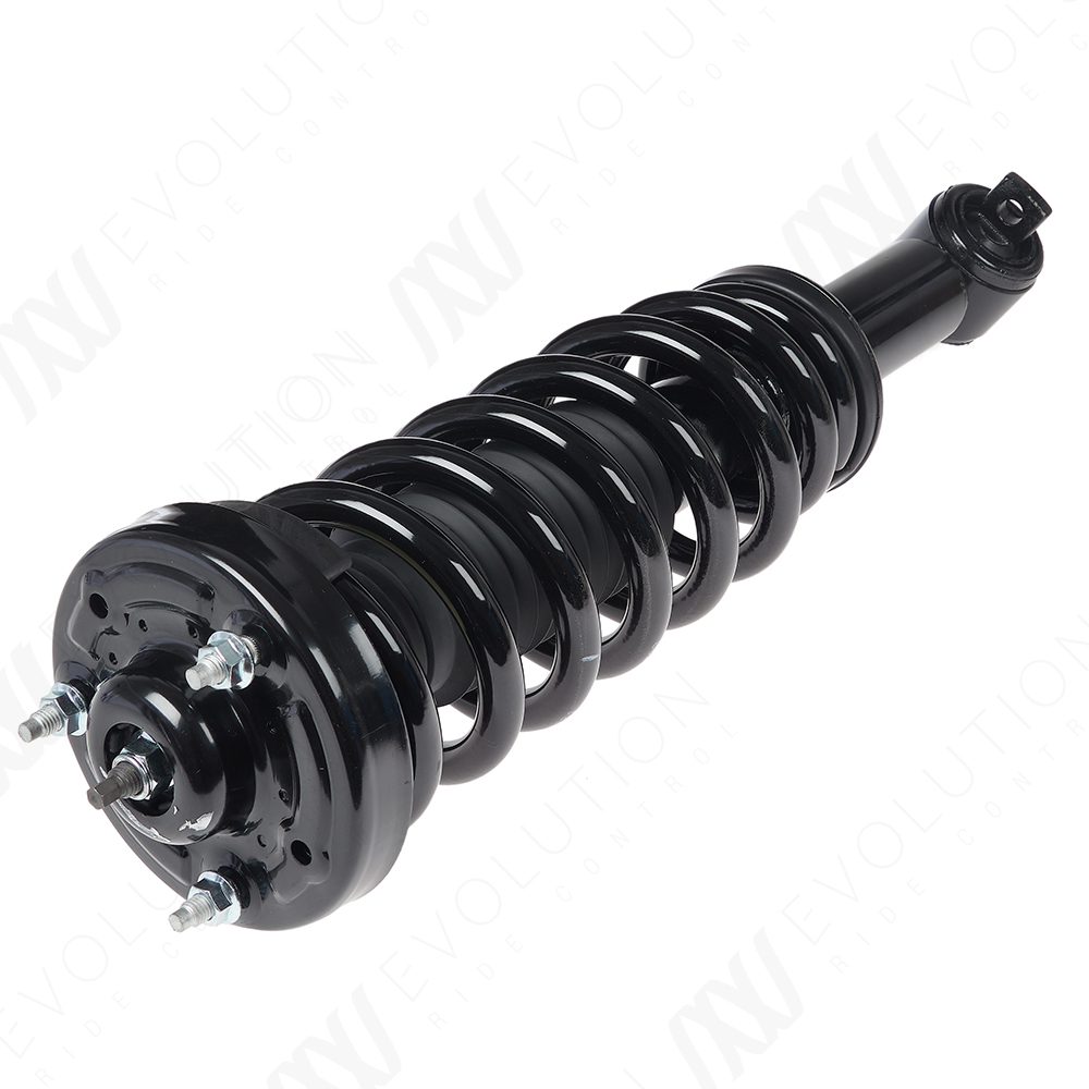 EVOLUTION COMPLETE STRUT - 2