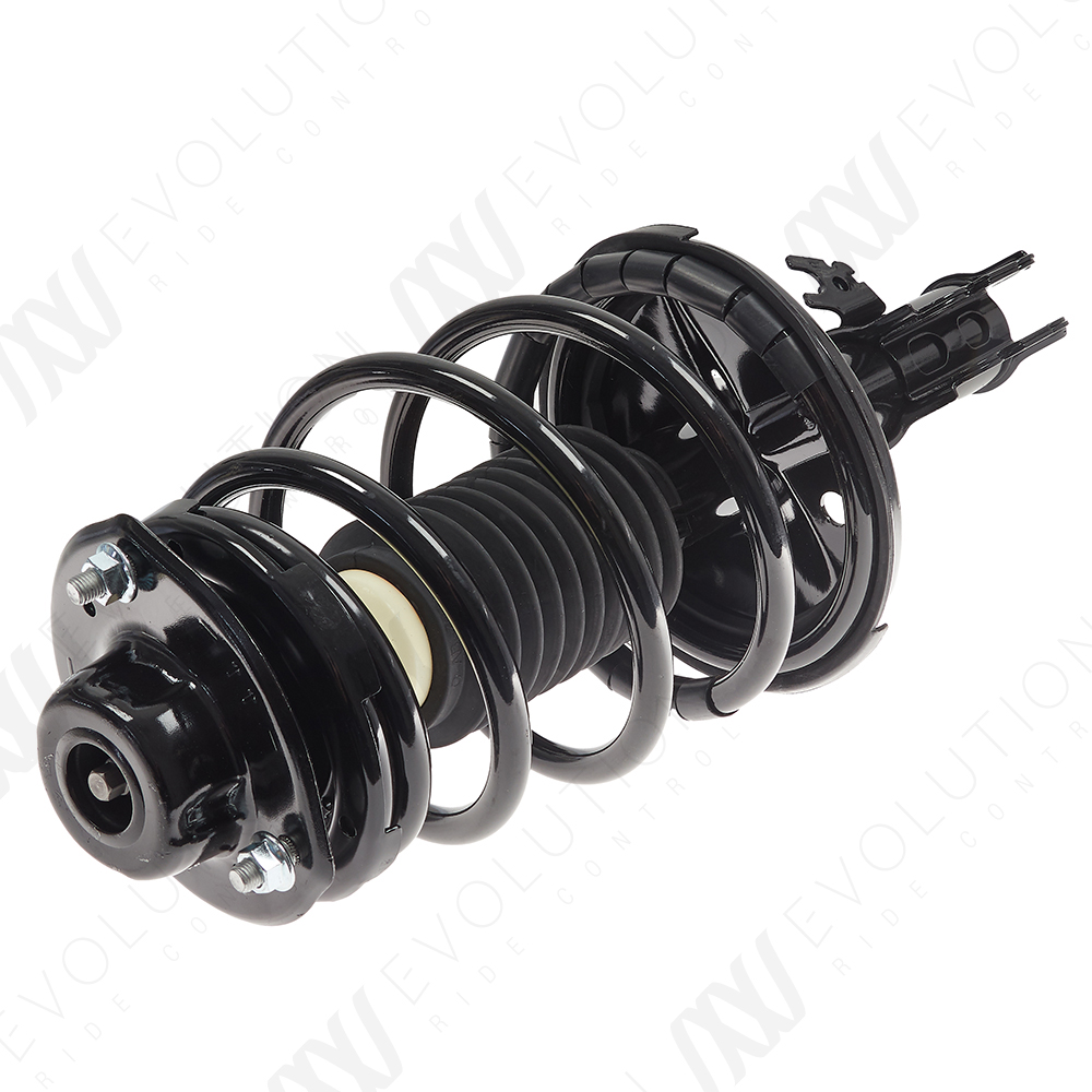EVOLUTION COMPLETE STRUT - 2