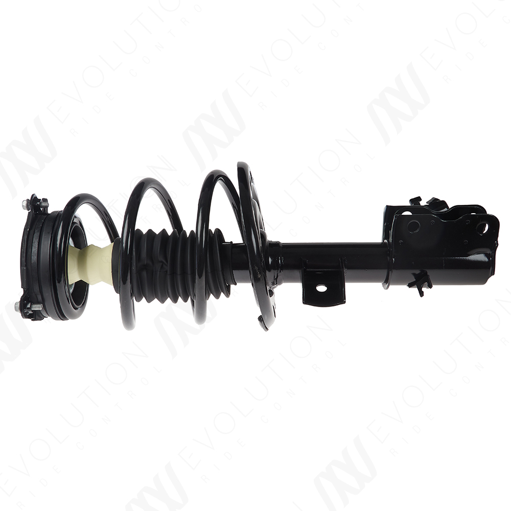 EVOLUTION COMPLETE STRUT - 2
