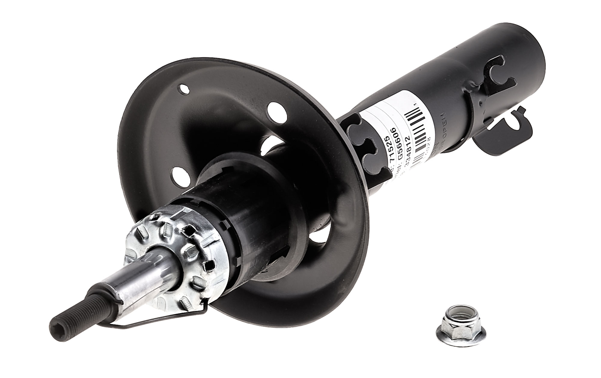 EVOLUTION STRUT