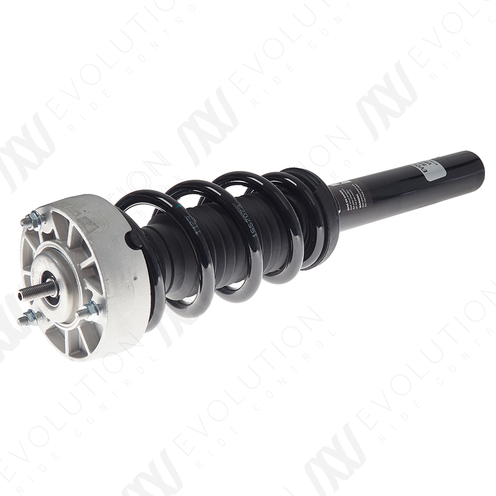 EVOLUTION COMPLETE STRUT - 2