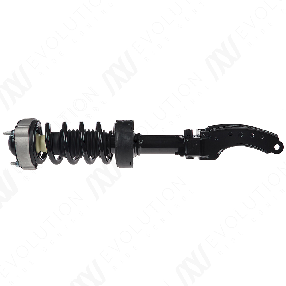 EVOLUTION COMPLETE STRUT - 2