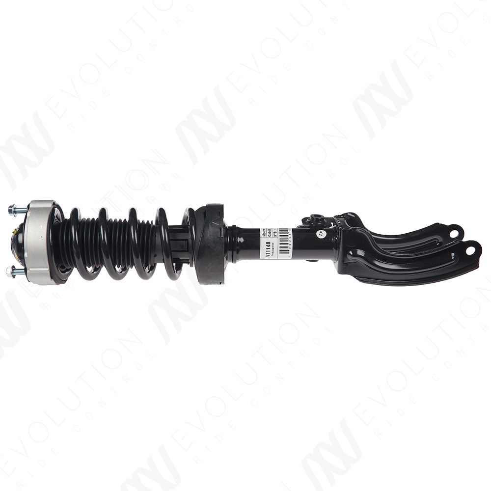 EVOLUTION COMPLETE STRUT - 2