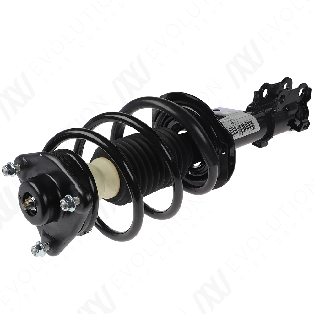 EVOLUTION COMPLETE STRUT - 2