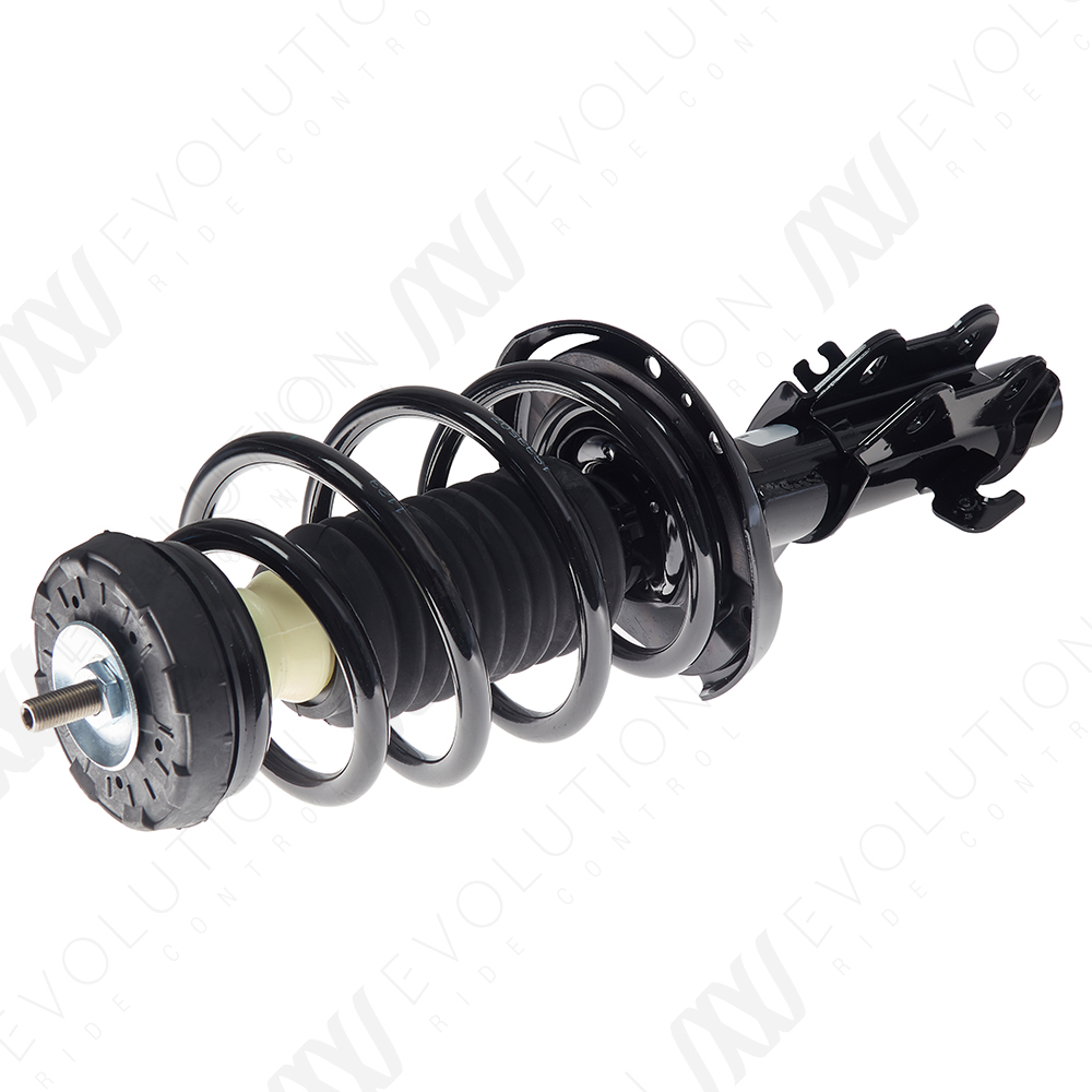 EVOLUTION COMPLETE STRUT - 2