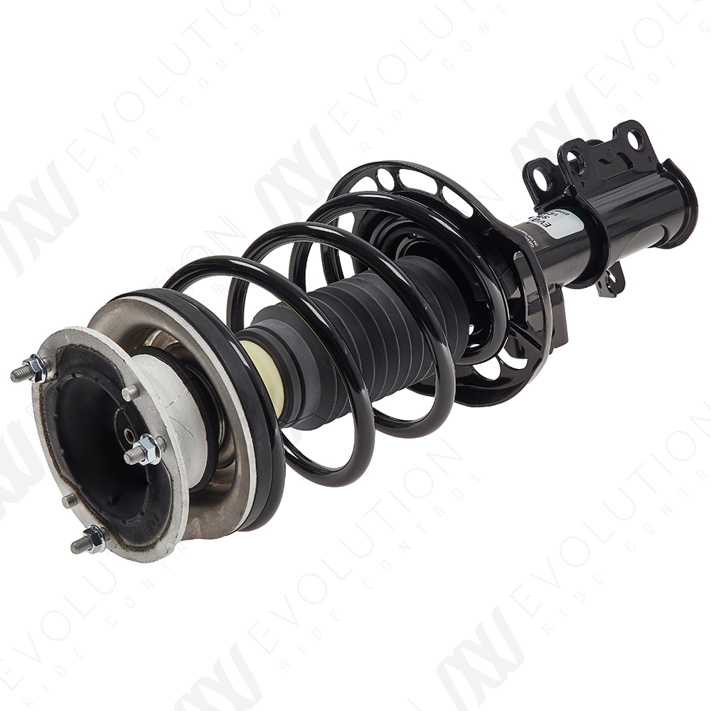 EVOLUTION COMPLETE STRUT - 2