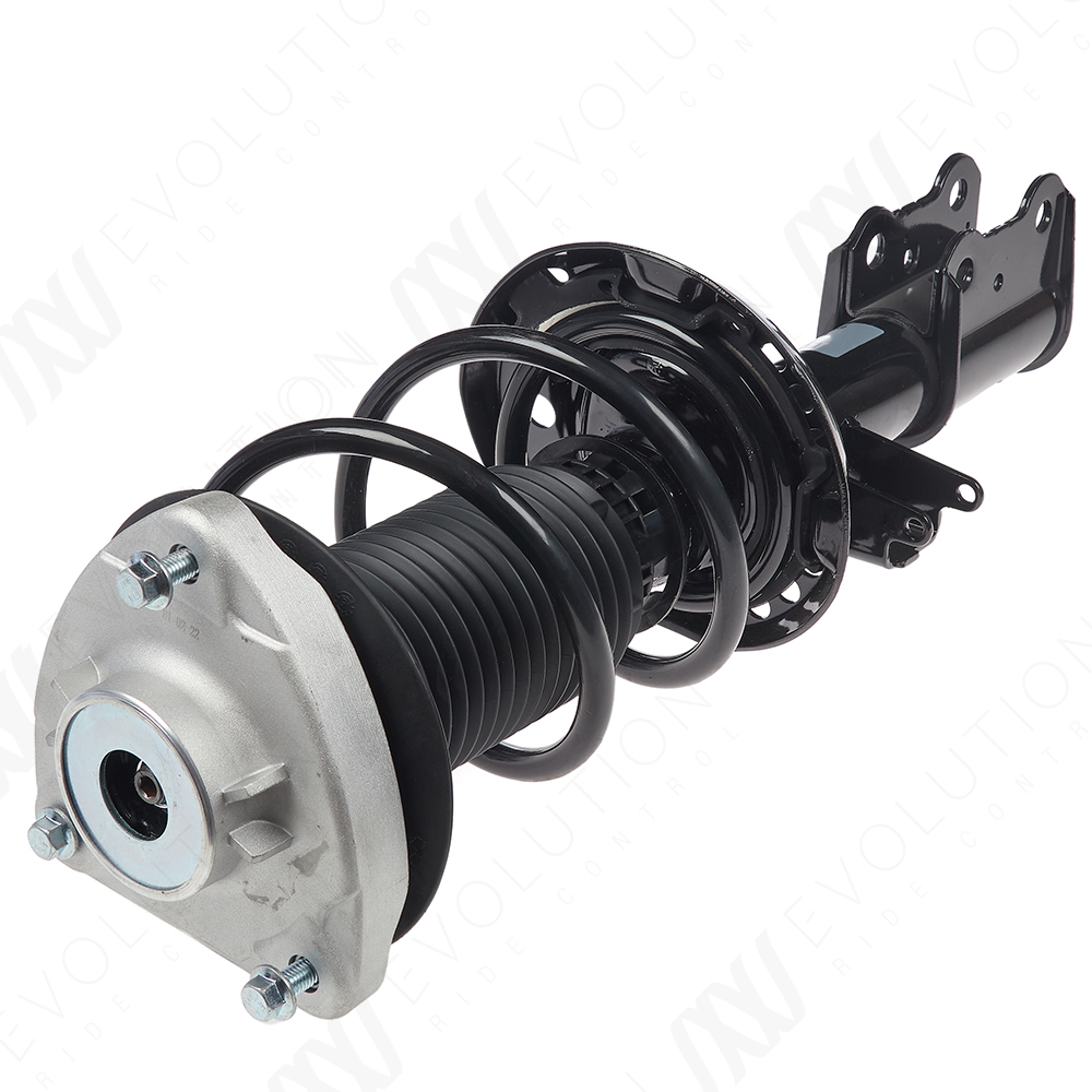 EVOLUTION COMPLETE STRUT - 2