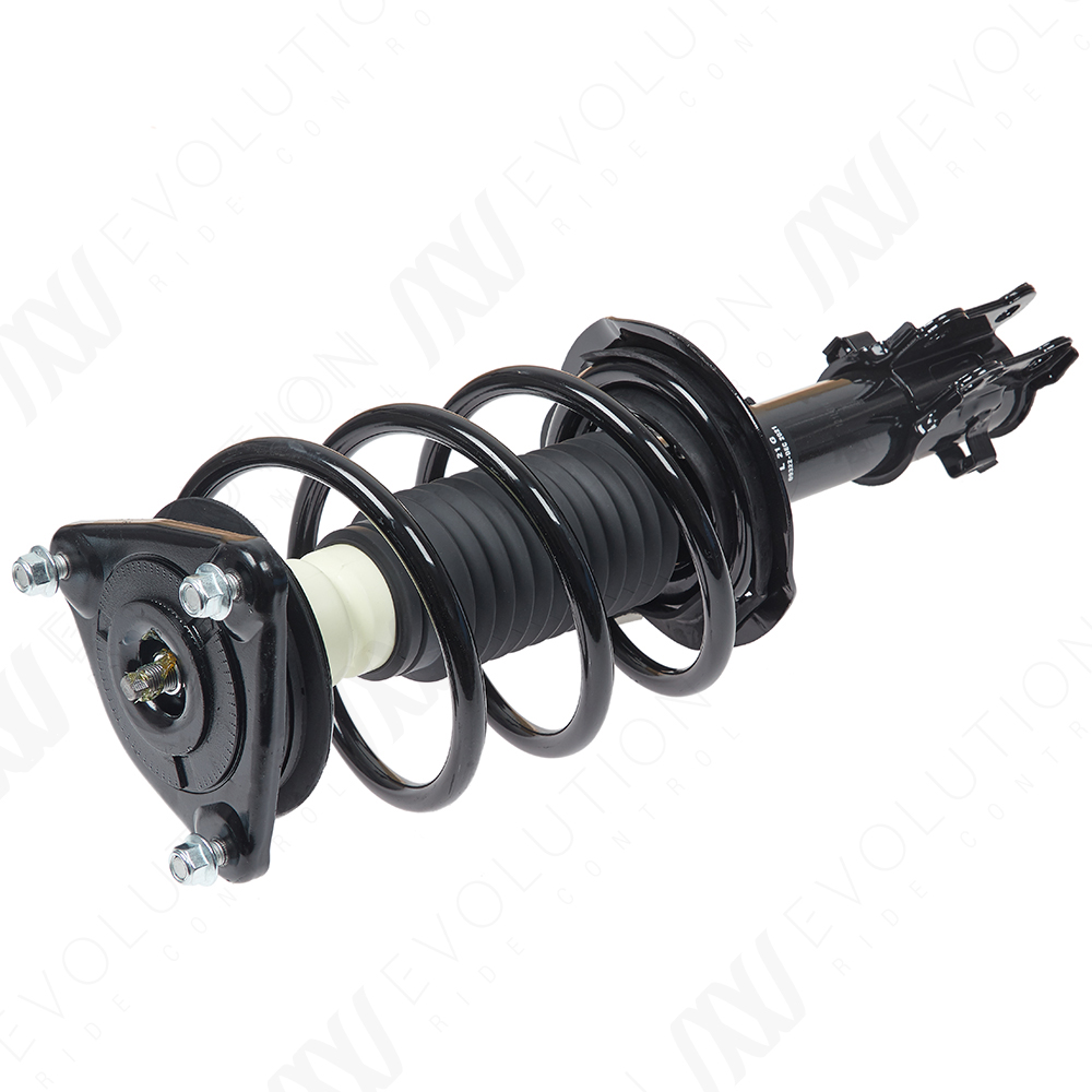 EVOLUTION COMPLETE STRUT - 2