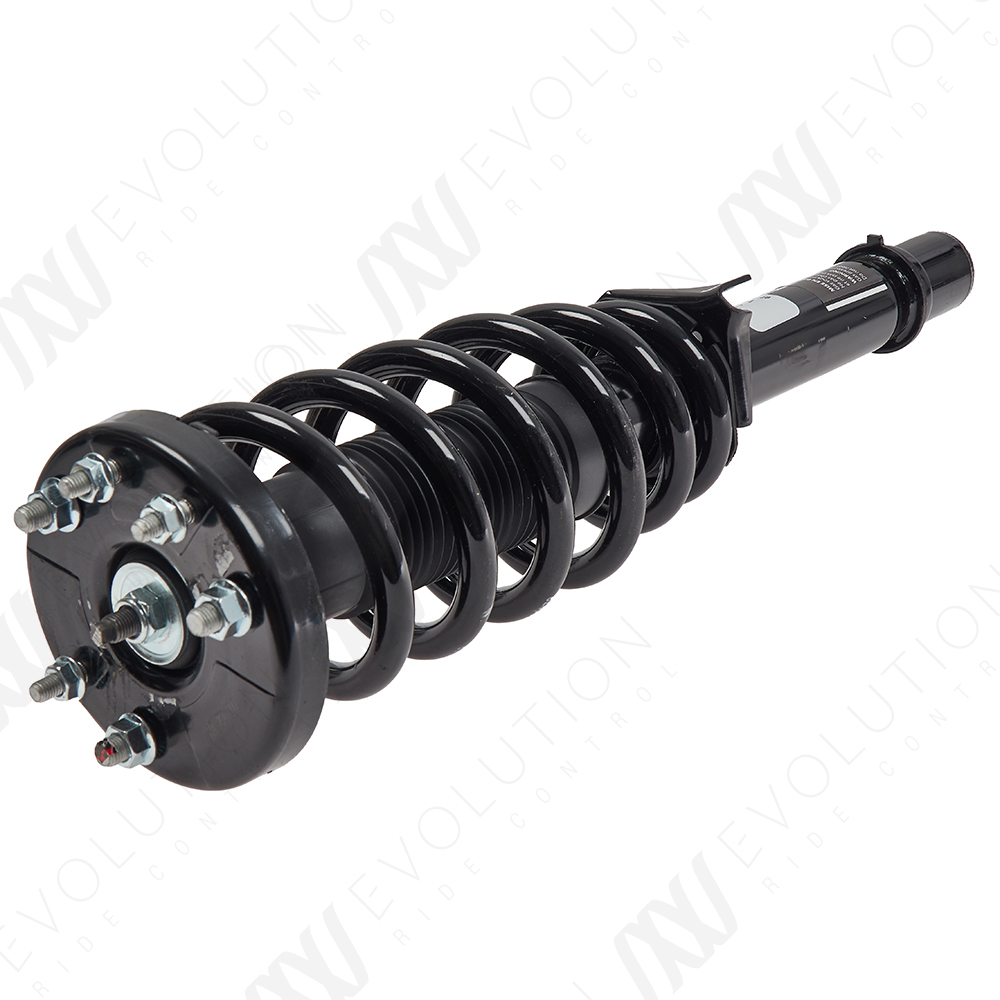 EVOLUTION COMPLETE STRUT - 2