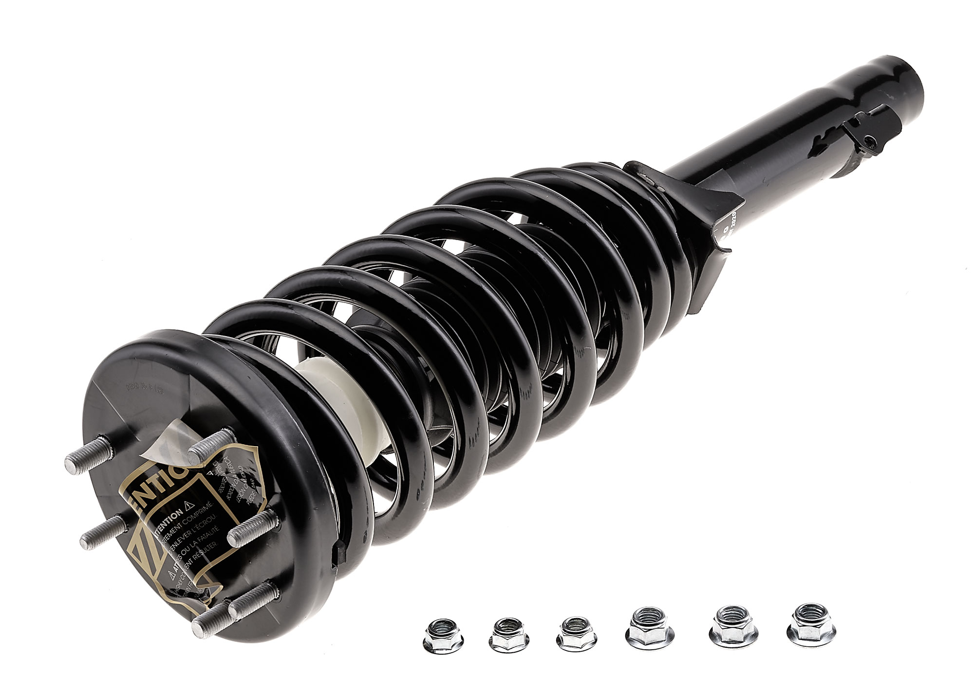 EVOLUTION COMPLETE STRUT - 2