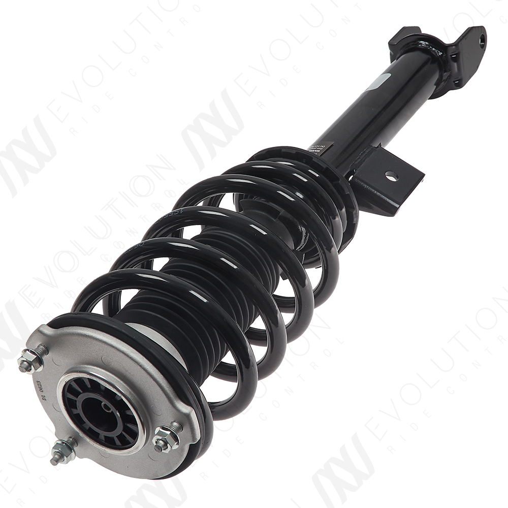 EVOLUTION COMPLETE STRUT - 2