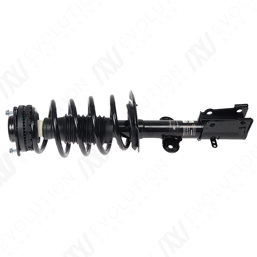 EVOLUTION COMPLETE STRUT - 2