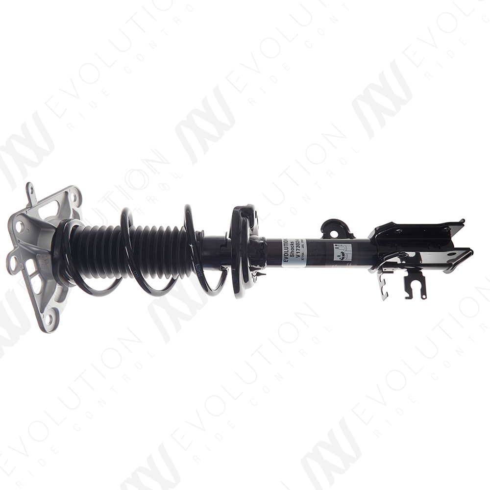 EVOLUTION COMPLETE STRUT - 2