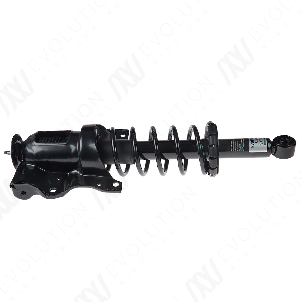 EVOLUTION COMPLETE STRUT - 2