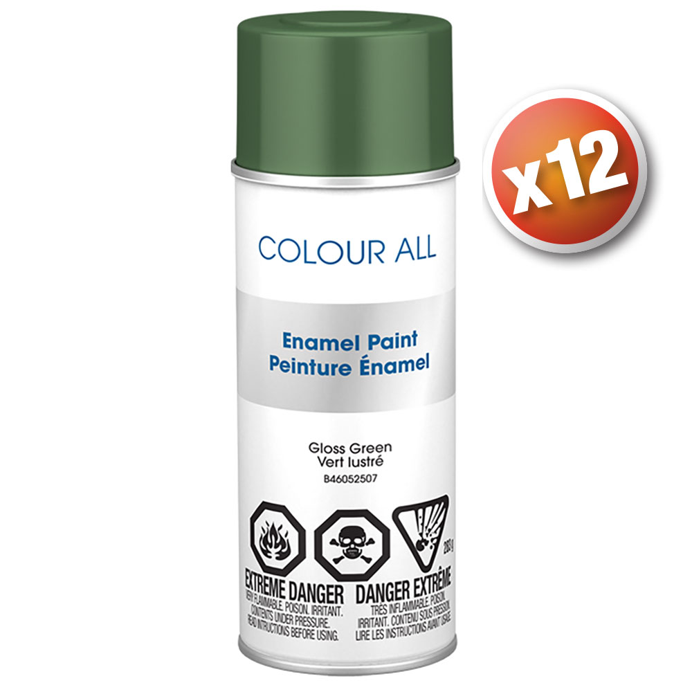 PEINTURE VERT LUSTRE EMB12